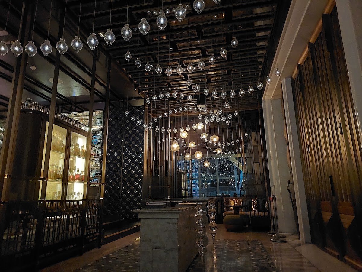 Bar Trigona — photo 3