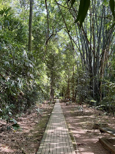 Canopy Walk at KL Forest Eco Park